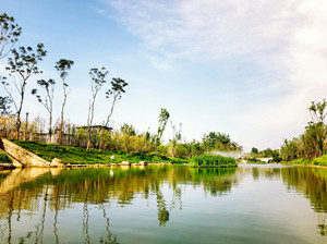 优德88(中国区)官方网站