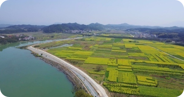 优德88(中国区)官方网站