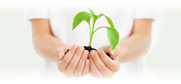 优德88(中国区)官方网站